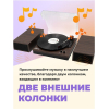 Виниловый проигрыватель Ritmix LP-340B Dark wood