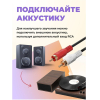 Виниловый проигрыватель Ritmix LP-340B Dark wood