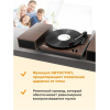 Виниловый проигрыватель Ritmix LP-340B Dark wood