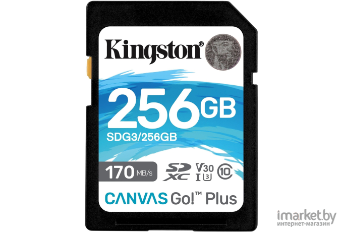 Карта памяти Kingston Canvas Go! Plus SDXC 256GB