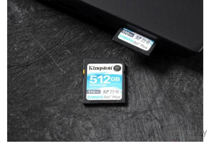 Карта памяти Kingston Canvas Go! Plus SDXC 256GB