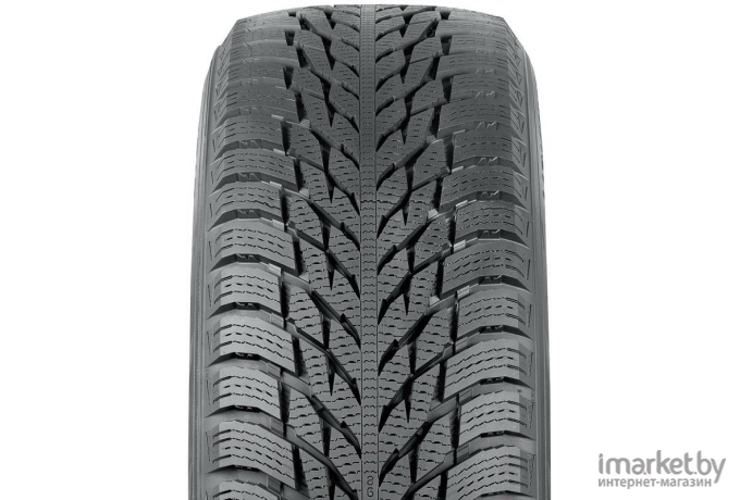 Автомобильные шины Nokian Tyres Hakkapeliitta R3 205/65R15 94R