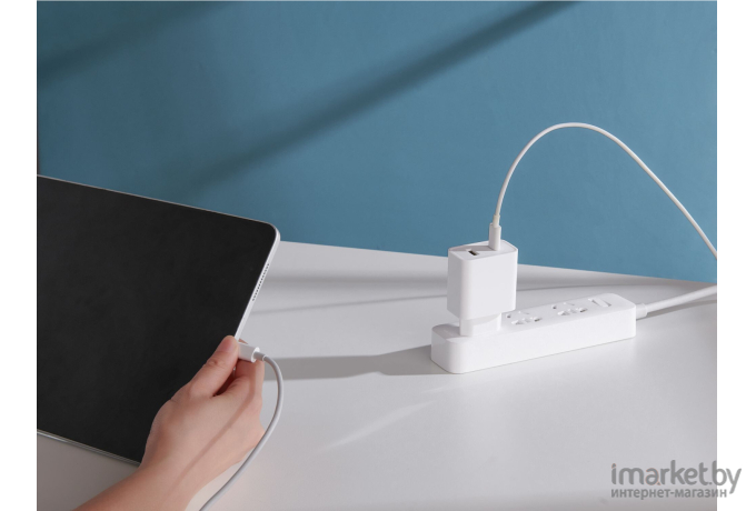 Сетевое зарядное Xiaomi Mi 33W Wall Charger