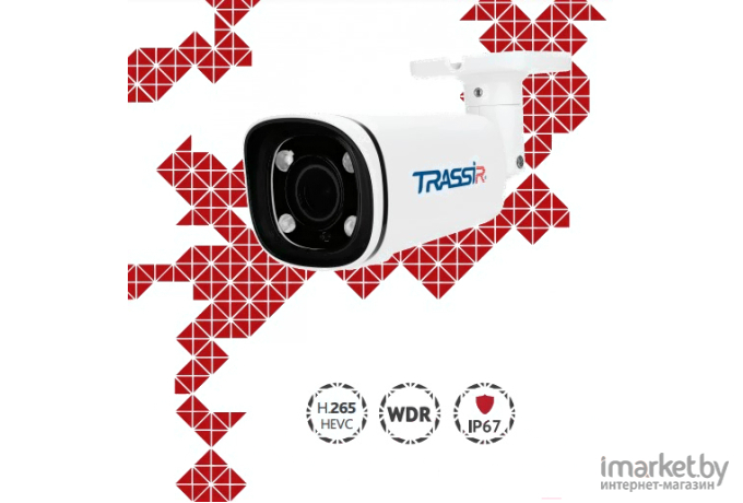 IP-камера TRASSIR TR-D2123IR6
