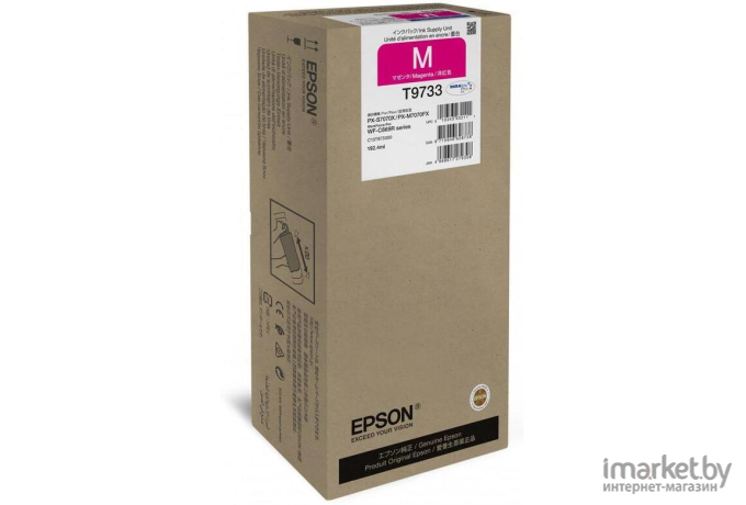 Чернила Epson C13T973300