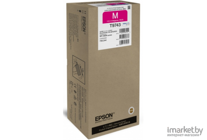 Чернила Epson C13T974300