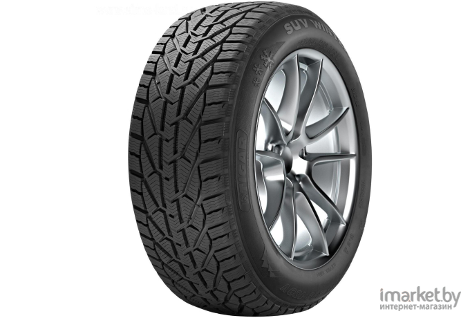 Автомобильные шины Tigar Winter 205/65R15 94T