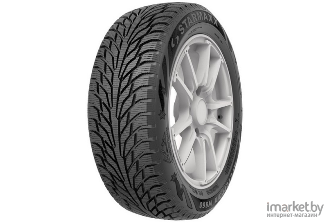 Автомобильные шины Starmaxx Arcterrain W860 205/55R16 91T