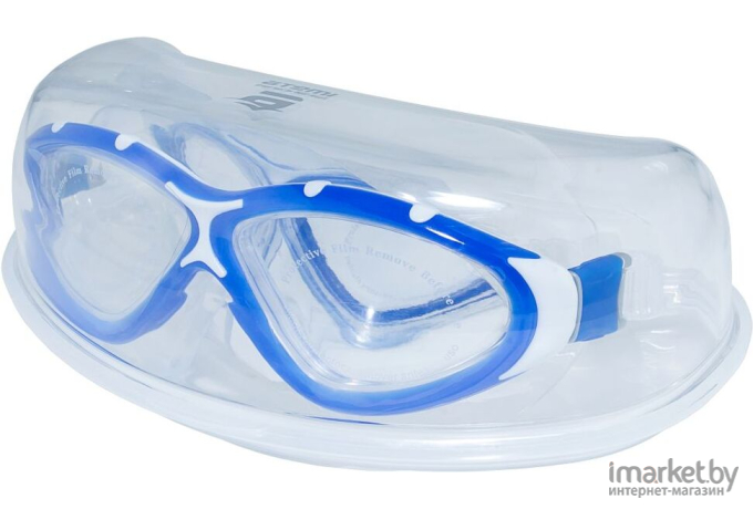 Очки для плавания Atemi Z401 синий/серый