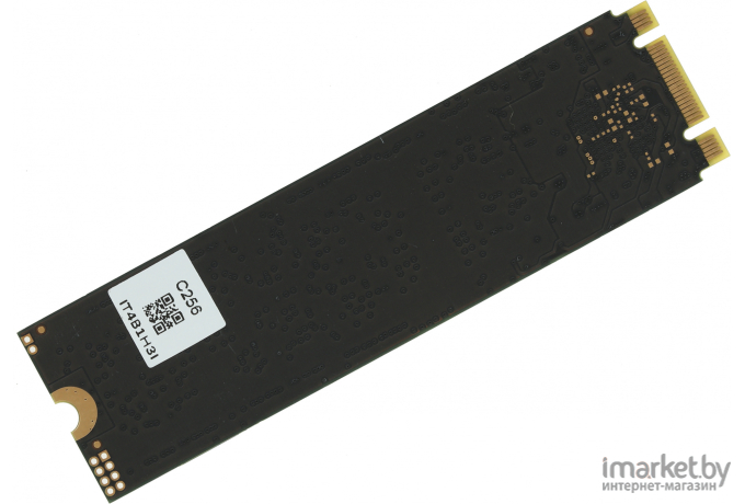 SSD накопитель Digma Run S9 256Gb (DGSR1256GS93T)