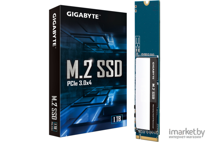 SSD-диск Gigabyte GM21TB