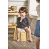 Детский горшок-кресло BabyBjorn 0552.66