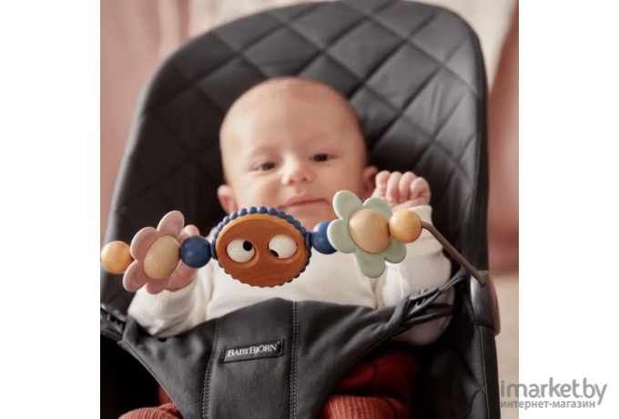 Игрушка для шезлонга BabyBjorn Googly Eyes Pastel 0805.10