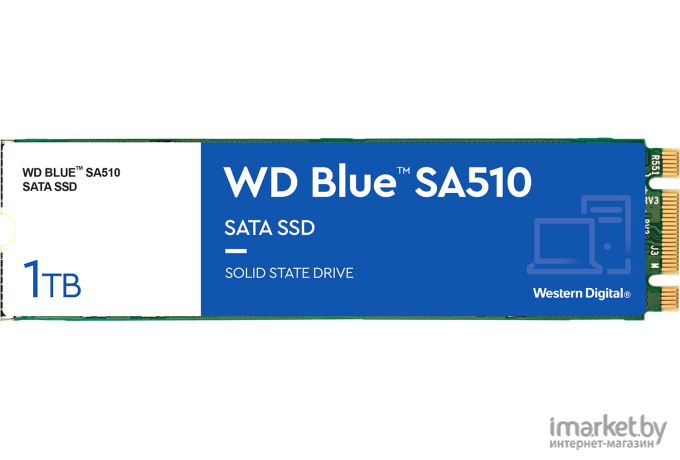 SSD-диск WD Blue 250GB (WDS250G3B0B)