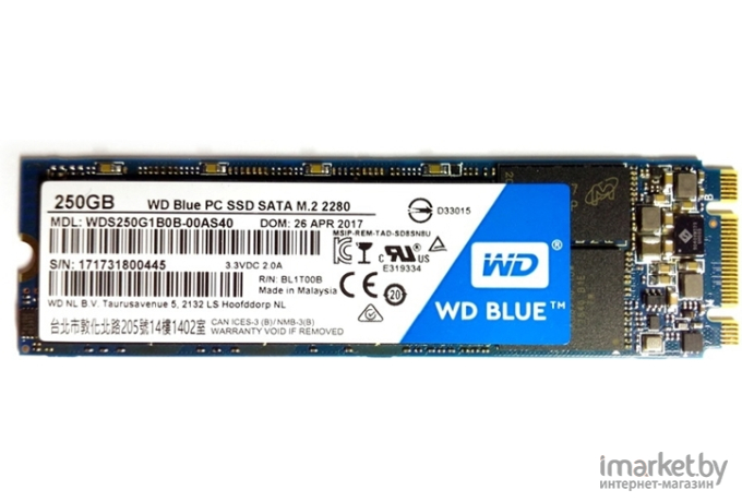 SSD-диск WD Blue 250GB (WDS250G3B0B)