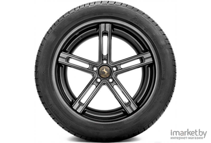 Автомобильные шины Continental ContiWinterContact TS 830 P 245/45R19 102V XL (03551720000)