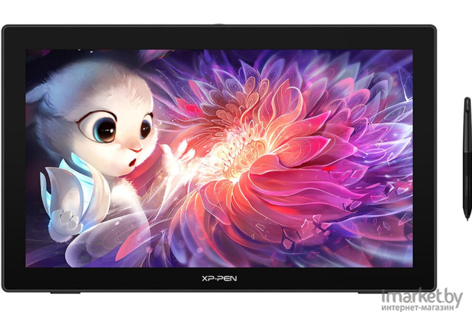 Графический планшет Xp-Pen Artist FHD IPS HDMI черный/серебристый (ARTISTCD220F_EU)