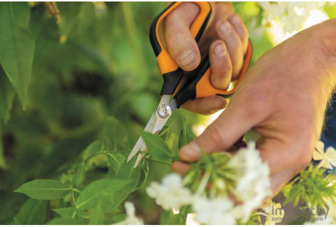 Ножницы для травы Fiskars Solid SP15 черный/оранжевый (1051602)