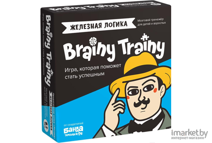 Головоломка Brainy Trainy Железная логика (УМ548)