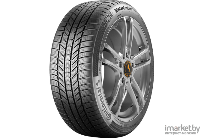 Автомобильные шины Continental WinterContact TS 870 P 205/55R17 91H