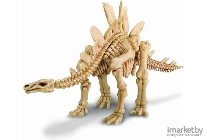 Научная игра 4M Раскопай скелет Стегозавр (00-03229)