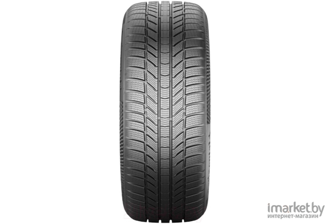 Автомобильные шины Continental WinterContact TS 870 P 215/55R17 94H (03556600000)