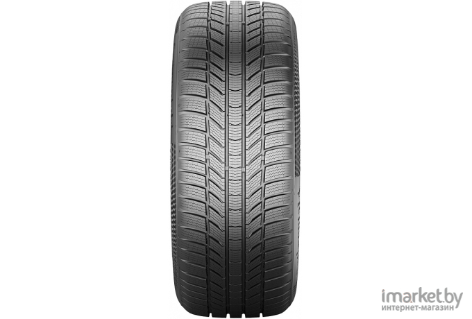 Автомобильные шины Continental WinterContact TS 870 P 225/45R19 96V XL (03558320000)