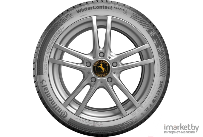 Автомобильные шины Continental WinterContact TS 870 P 255/50R19 107V XL (03558490000)