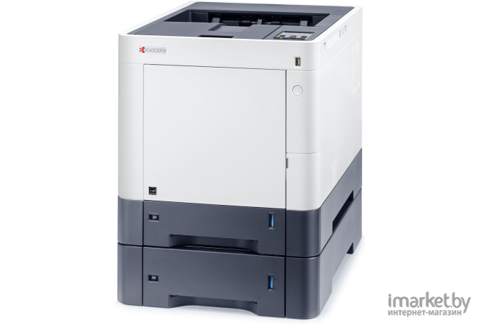 Принтер лазерный Kyocera Ecosys P6230cdn (1102TV3NL1)