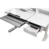 Растущая парта Fun Desk Fiore II Grey (190049)