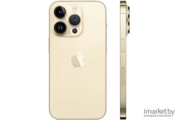 Смартфон Apple iPhone 14 Pro Max 256GB Gold A2893 (MQ9D3J/A)