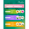 Декоративная свеча Вещицы Peony Freesia D7,5х11