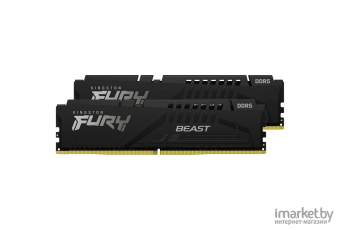 Оперативная память Kingston FURY Beast 2x32GB DDR5 4800MHz (KF548C38BBK2-64)