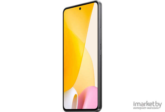 Смартфон Xiaomi 12 Lite 8GB/128GB Black RU (2203129G)