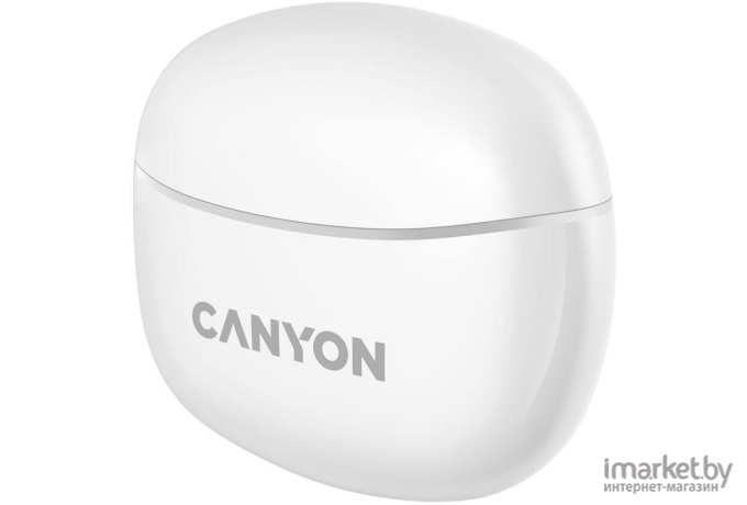 Наушники Canyon CNS-TWS5W