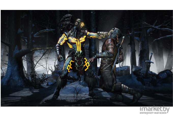 Игра для приставки Playstation Mortal Kombat X (5051892216937)