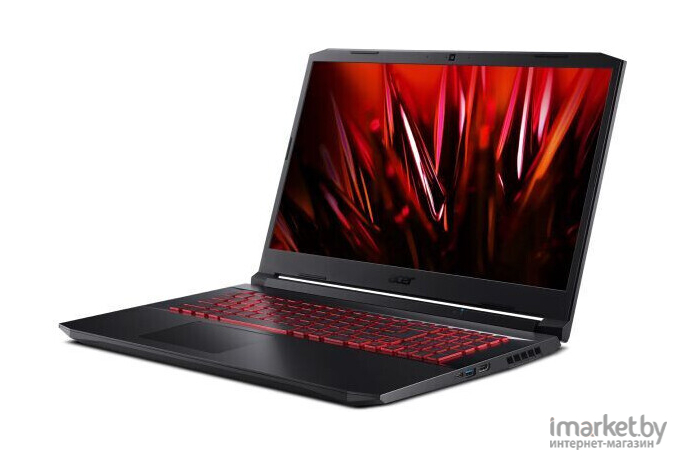 Ноутбук Acer Nitro 5 AN517-41-R7BF (NH.QBHEP.00B)