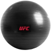 Гимнастический мяч Hasttings UFC 75см (UHA-69160)