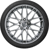 Автомобильные шины Kormoran Road Performance 205/55R16 91H (972429)