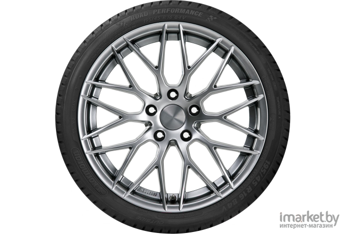 Автомобильные шины Kormoran Road Performance 205/55R16 91H (972429)