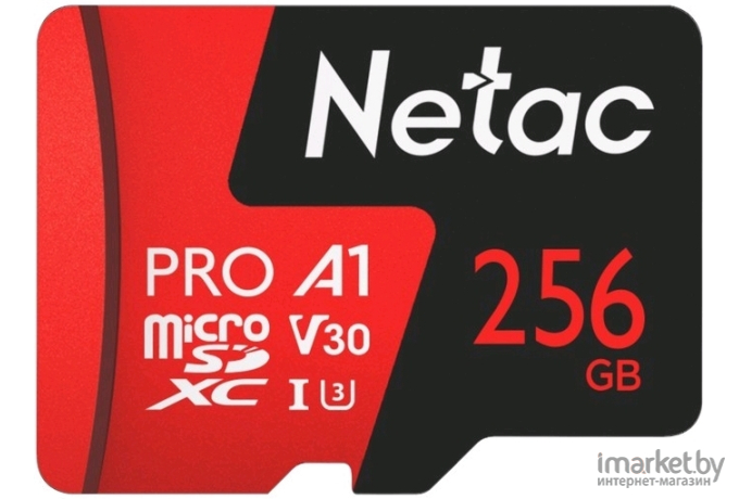 Карта памяти Netac NT02P500PRO-256G-R