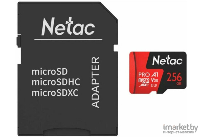 Карта памяти Netac NT02P500PRO-256G-R