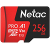 Карта памяти Netac NT02P500PRO-256G-S