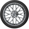 Автомобильные шины Kormoran Road Performance 215/60R16 99H XL (774416)