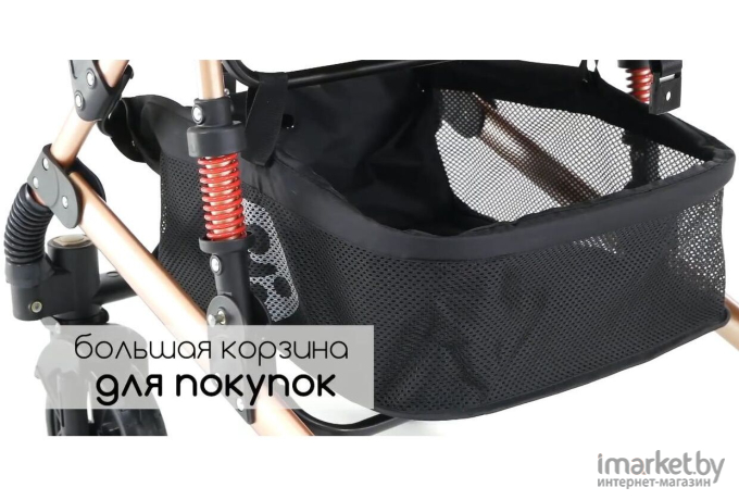 Детская коляска Lorelli Alba Classic 2в1 Black (10021482106)