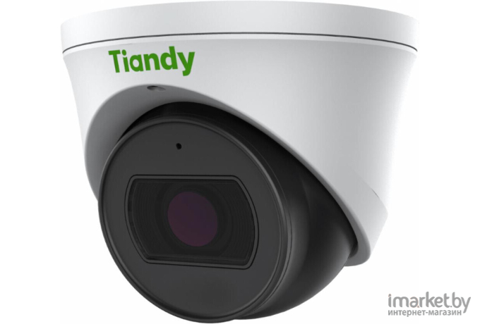 IP-камера Tiandy TC-C32SN белый (I3/A/E/Y/M/2.8 -12mm/V4.0)