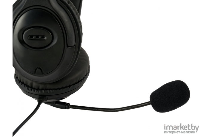 Наушники с микрофоном Oklick HS-M400 черный (1532019)