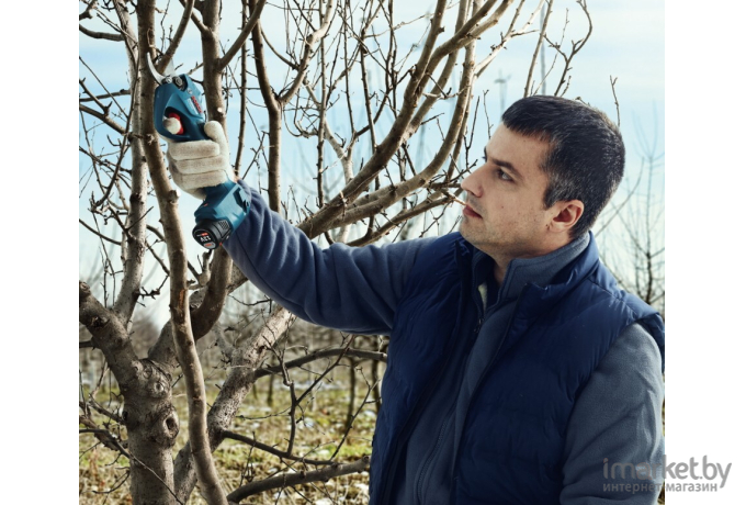 Секатор электрический Bosch Pro Pruner (06019K1021)