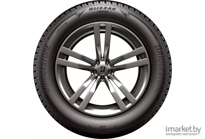 Автомобильные шины Bridgestone Blizzak LM005 285/45R21 113W