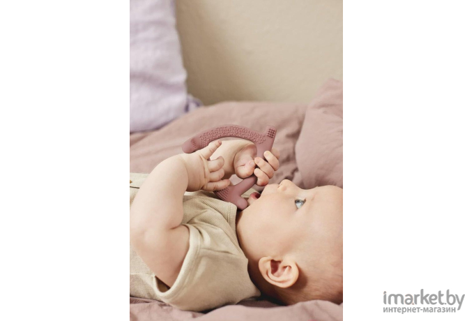 Прорезыватель Everyday Baby терракотовый (10553)